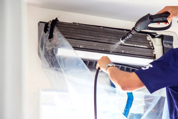 Air Duct Mold Removal in Chewelah, WA